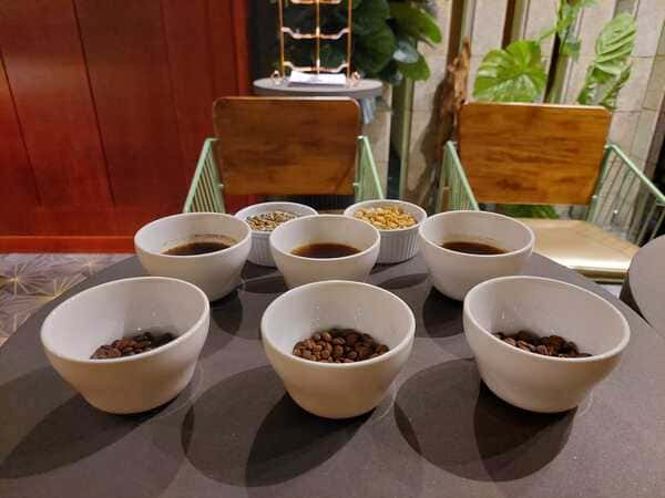 Coffee Tasting Experience