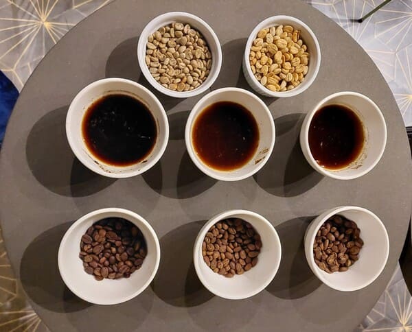 Coffee Tasting Experience Tasting the Sample
