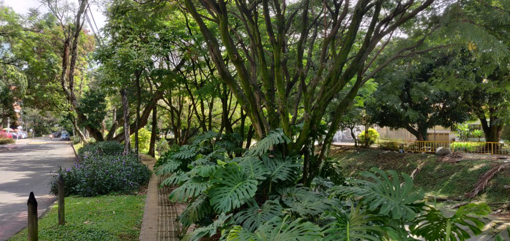 side walks in Laureles
