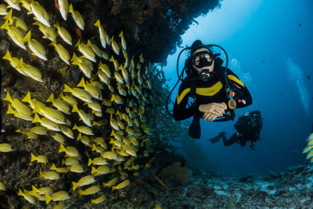 padi-scuba-laureles-medellin