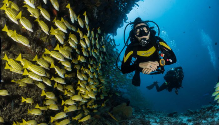 padi-scuba-laureles-medellin