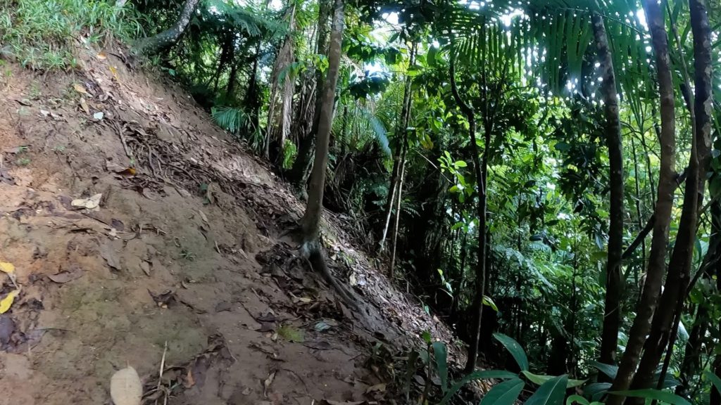 Hiking Down Cerro Tusa
