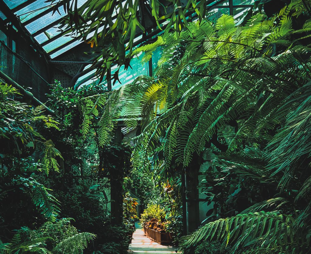 A Guide to the Botanical Gardens in Medellin