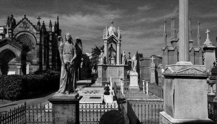 All About Cementerio Museo de San Pedro