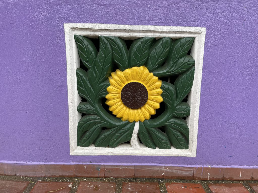 Check Out the Pueblo de Zócalos
