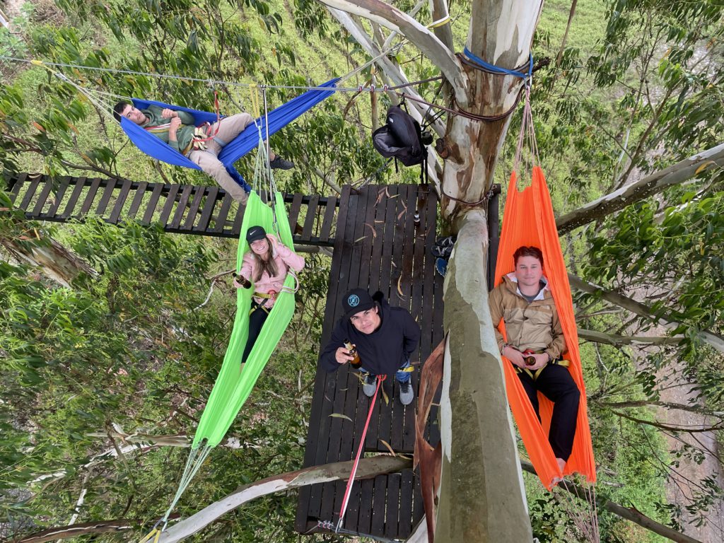Tree-Top Walking Bridges with Hammocks
