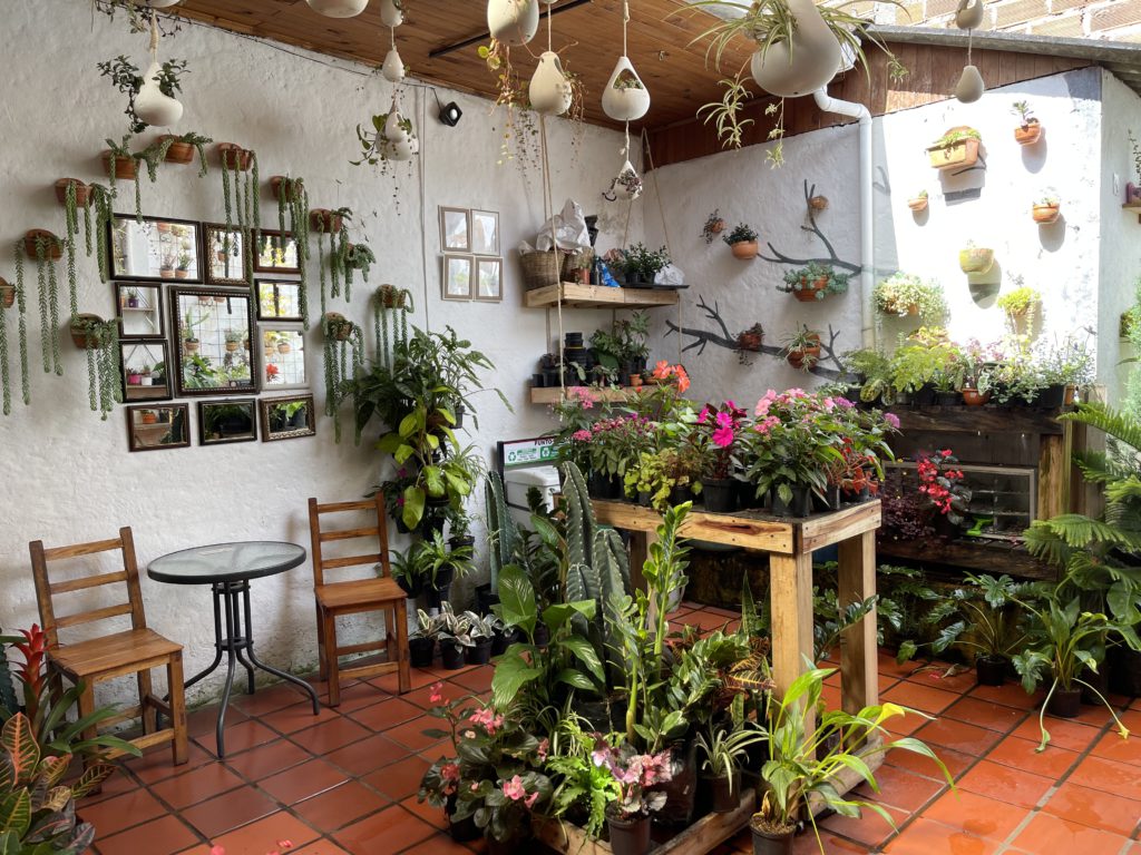 El Jardin de Jardin
