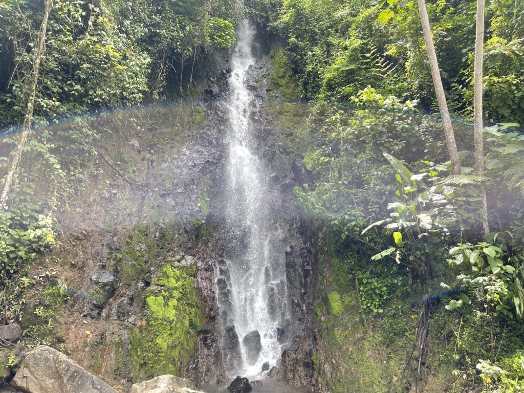 Fall of Love (Cascada Del Amor)
