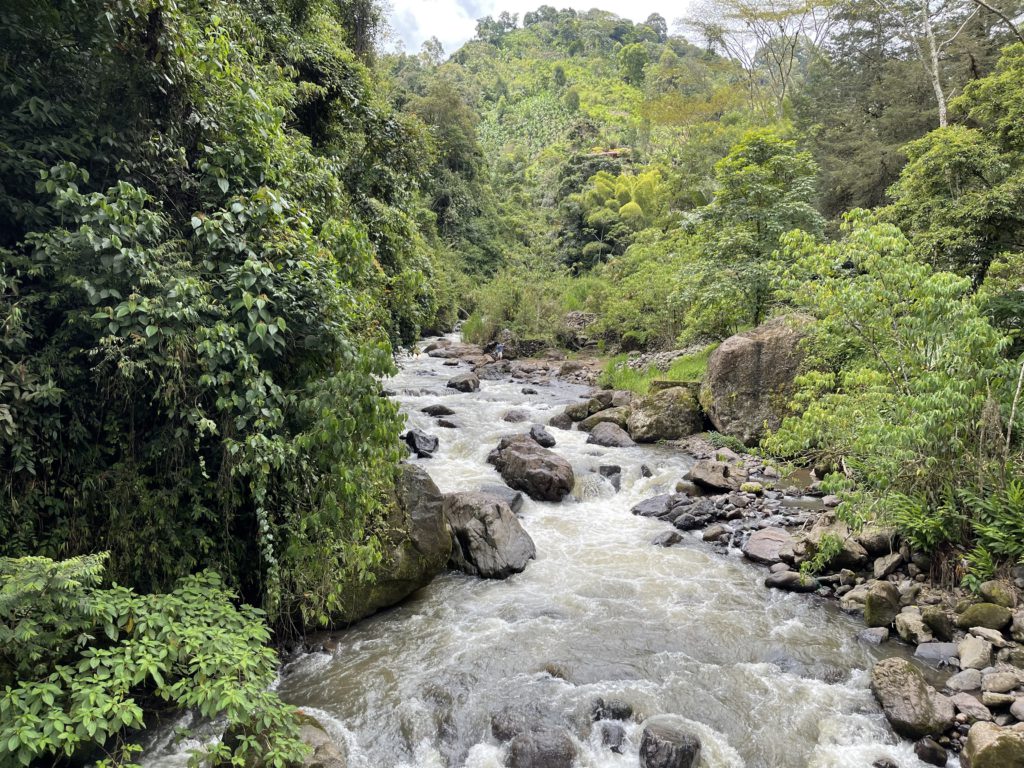 River Corazon
