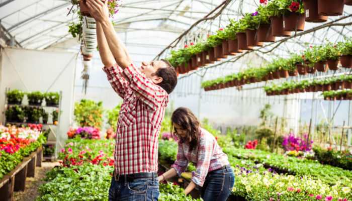The 7 Best Garden Shops