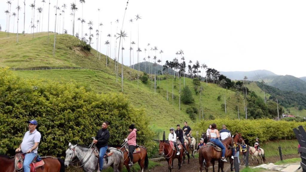 Horseback Rides Are Available
