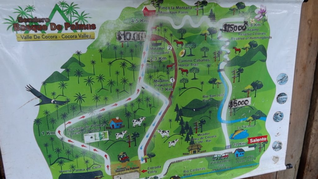 20-Minute Ride to Cocora Valley Entrance
