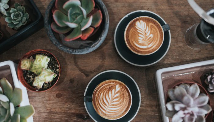 All the Best Restaurants, Bars, and Cafés in San Pedro de Los Milagros