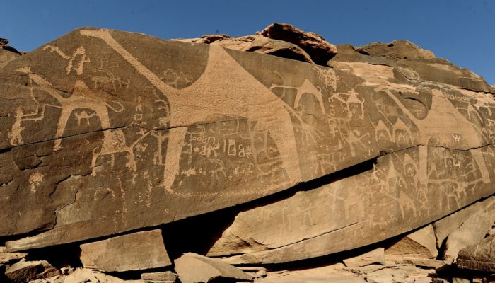 Checking Out Medellin’s Hidden Petroglyphs