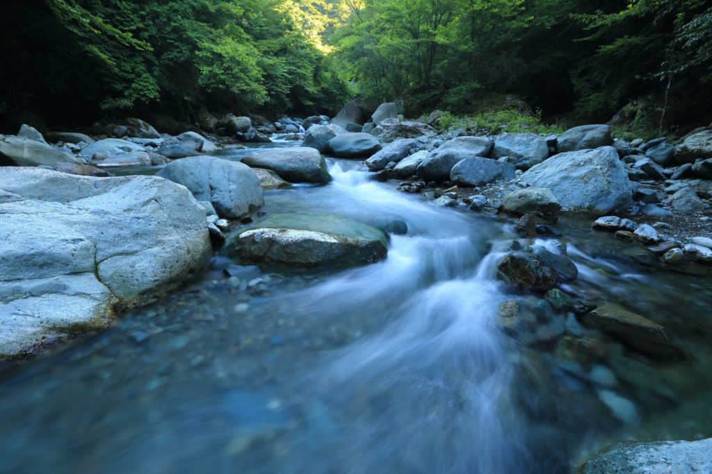 Rios de Cristal: River Trekking in San Francisco, Antioquia