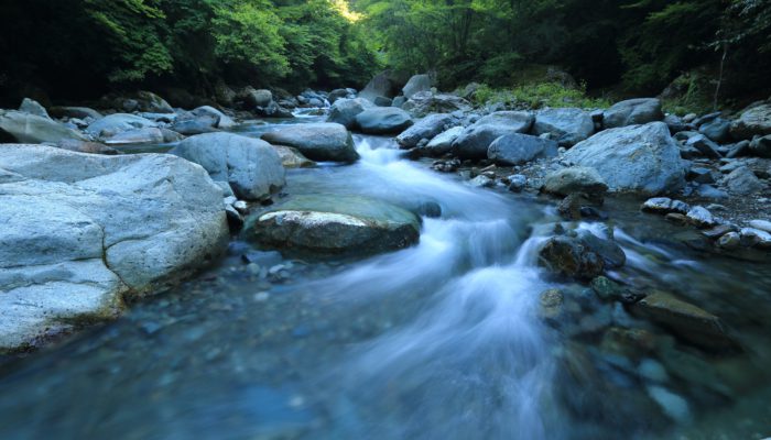 Rios de Cristal: River Trekking in San Francisco, Antioquia