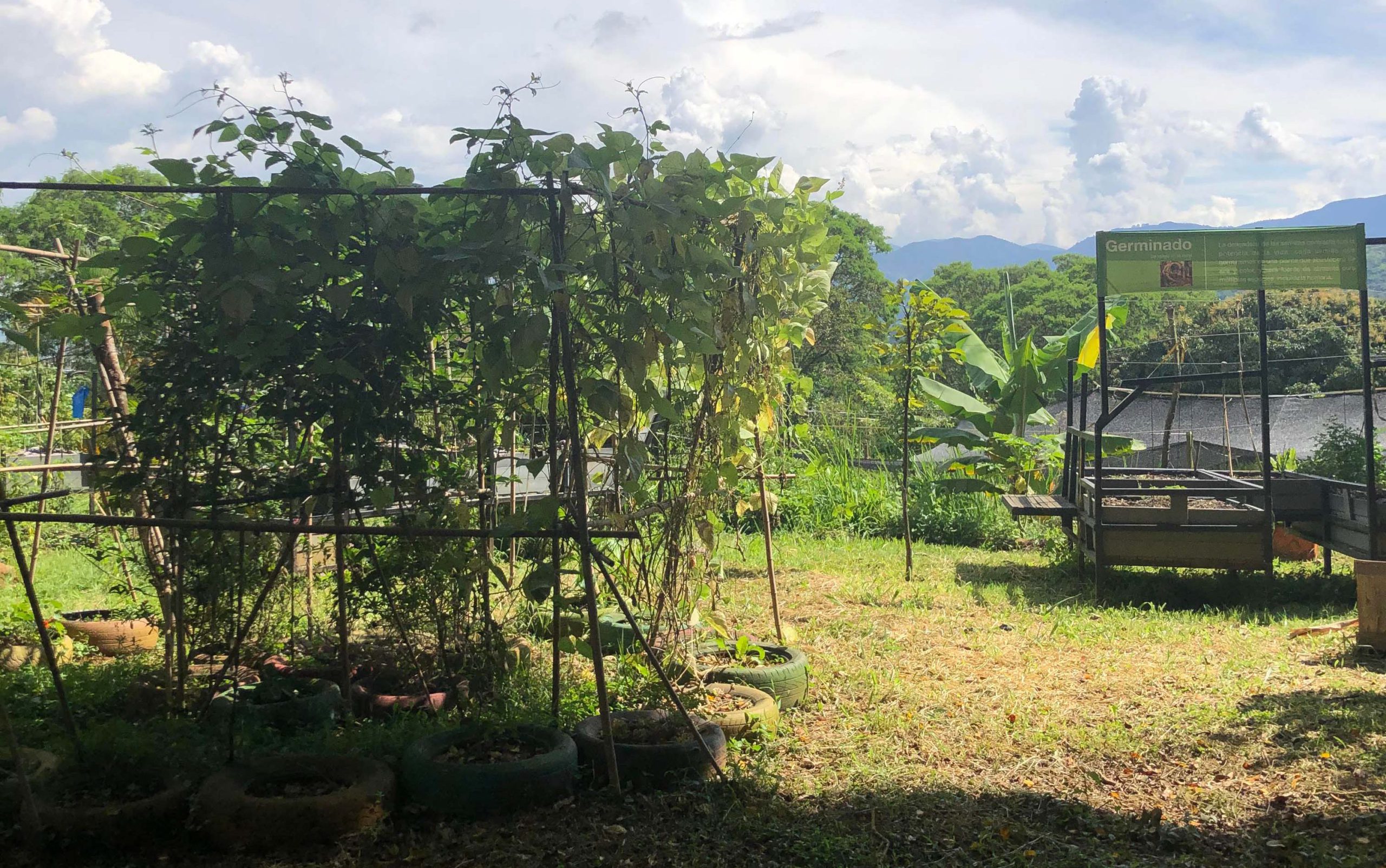 Gardens 