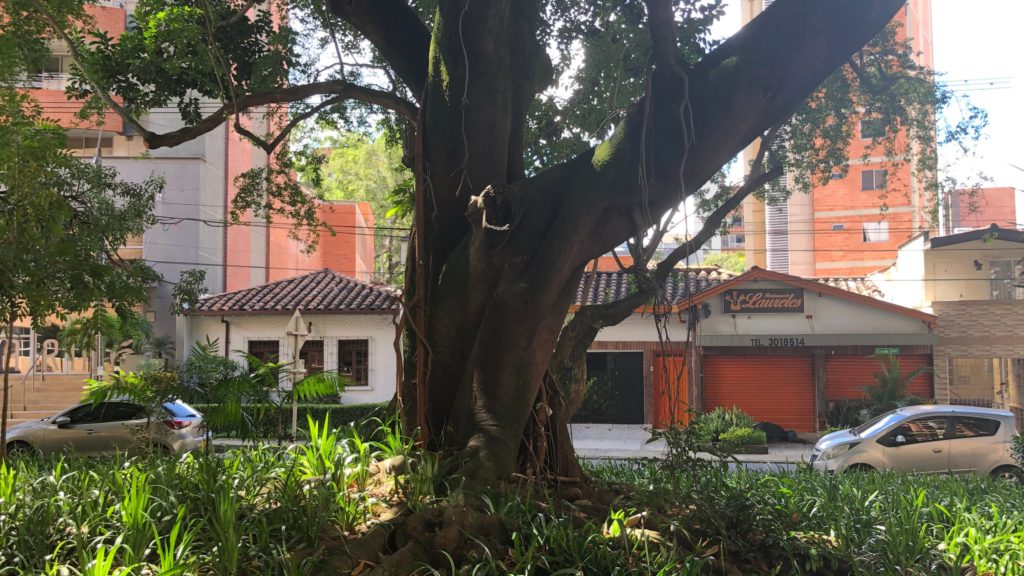 El Primer Parque de Laureles & El Segundo Parque de Laureles
