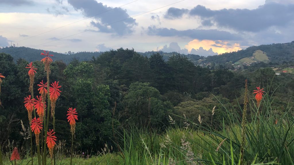 Parque Arvi, Santa Elena Side