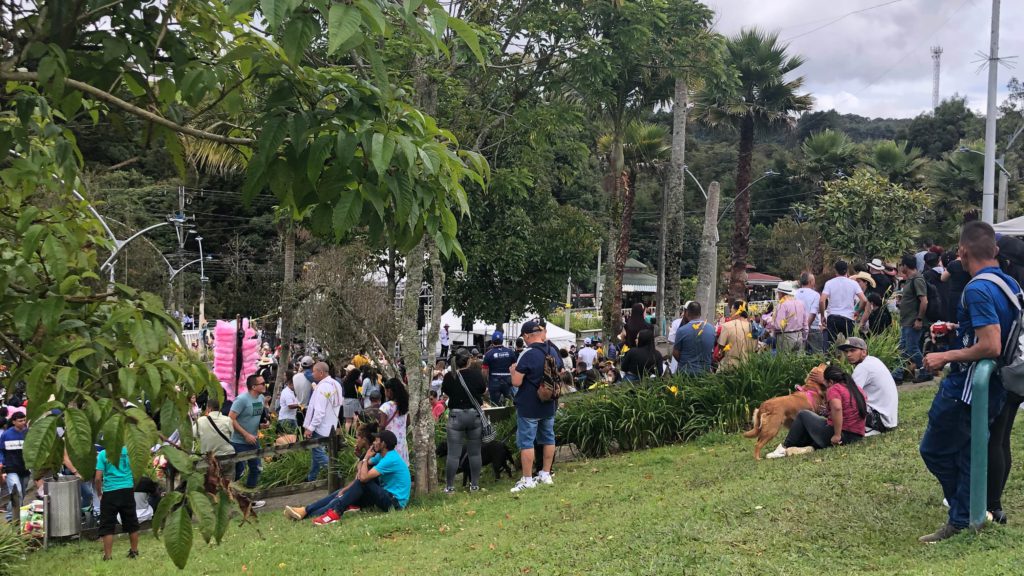 Music, Dancing, Food, and Flowers
