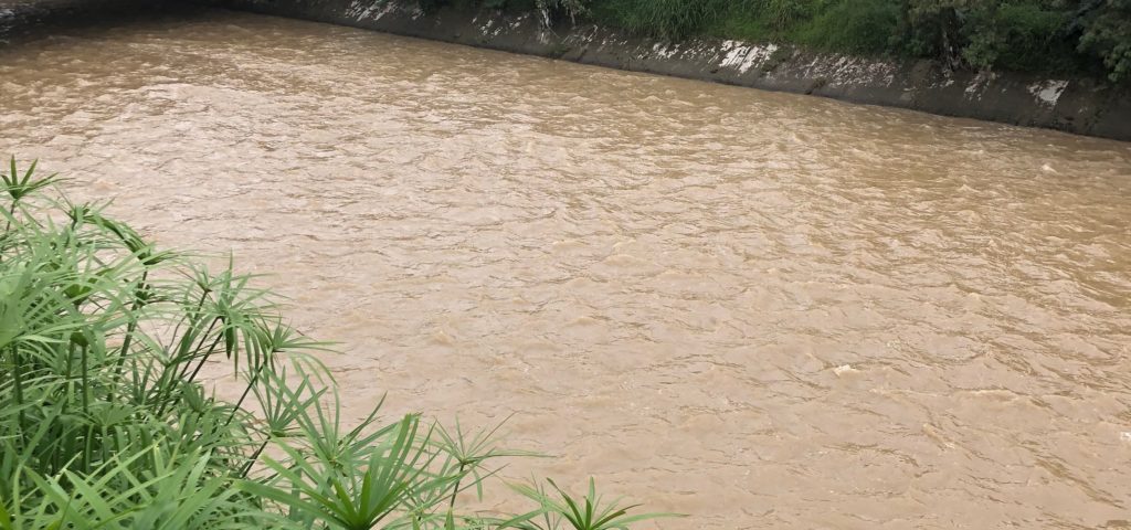 Take A Stroll Down the Medellin River Tributaries
